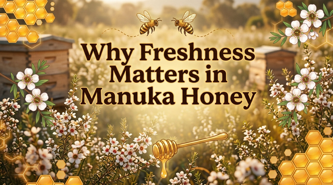 Why Freshness Matters in Manuka Honey: Storage, Maturation & Potency